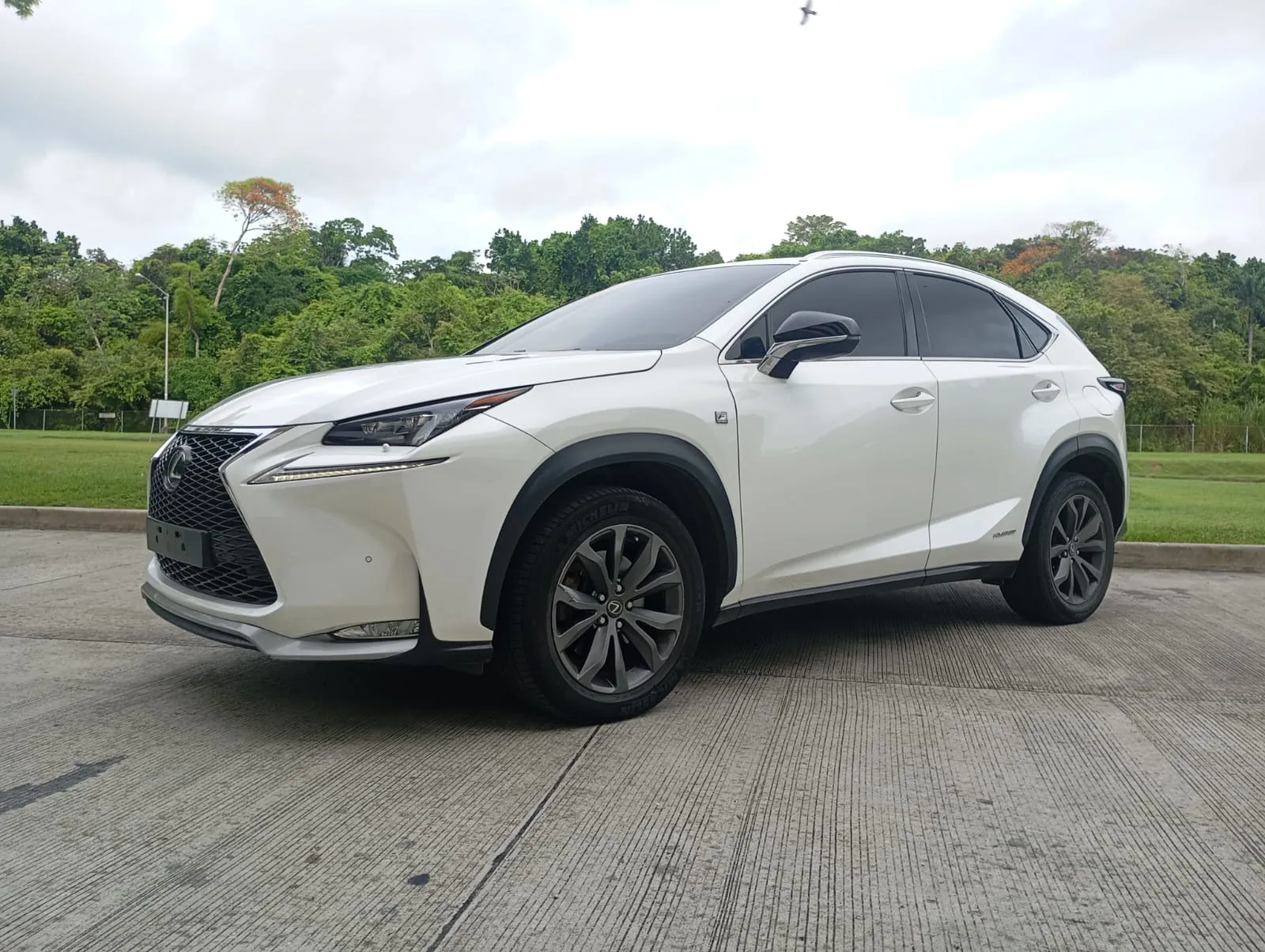 Preview imagenes del auto