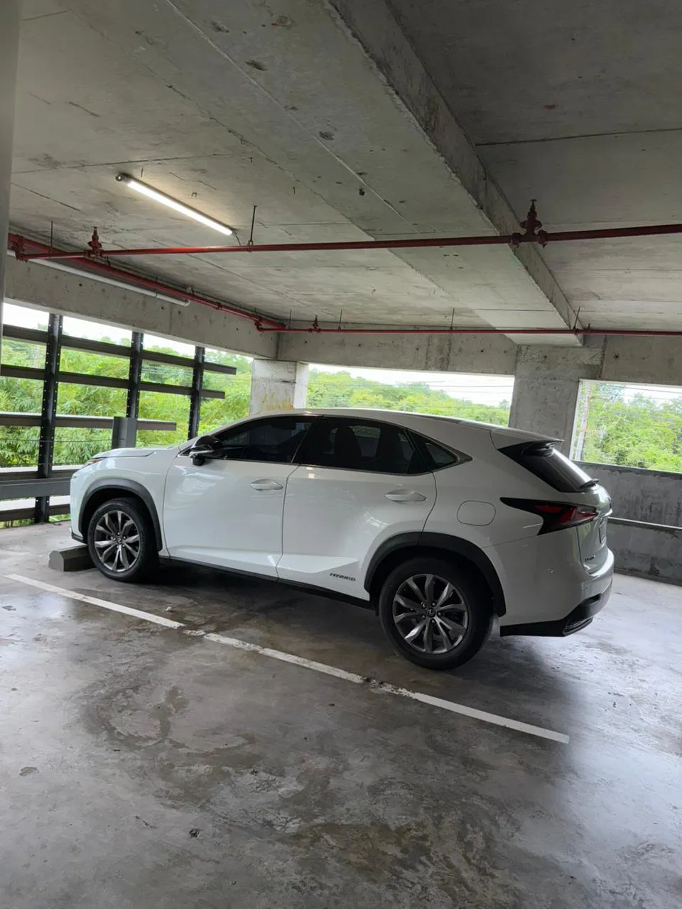 Preview imagenes del auto