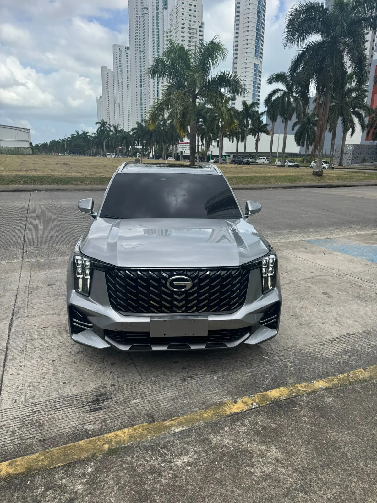 Preview imagenes del auto