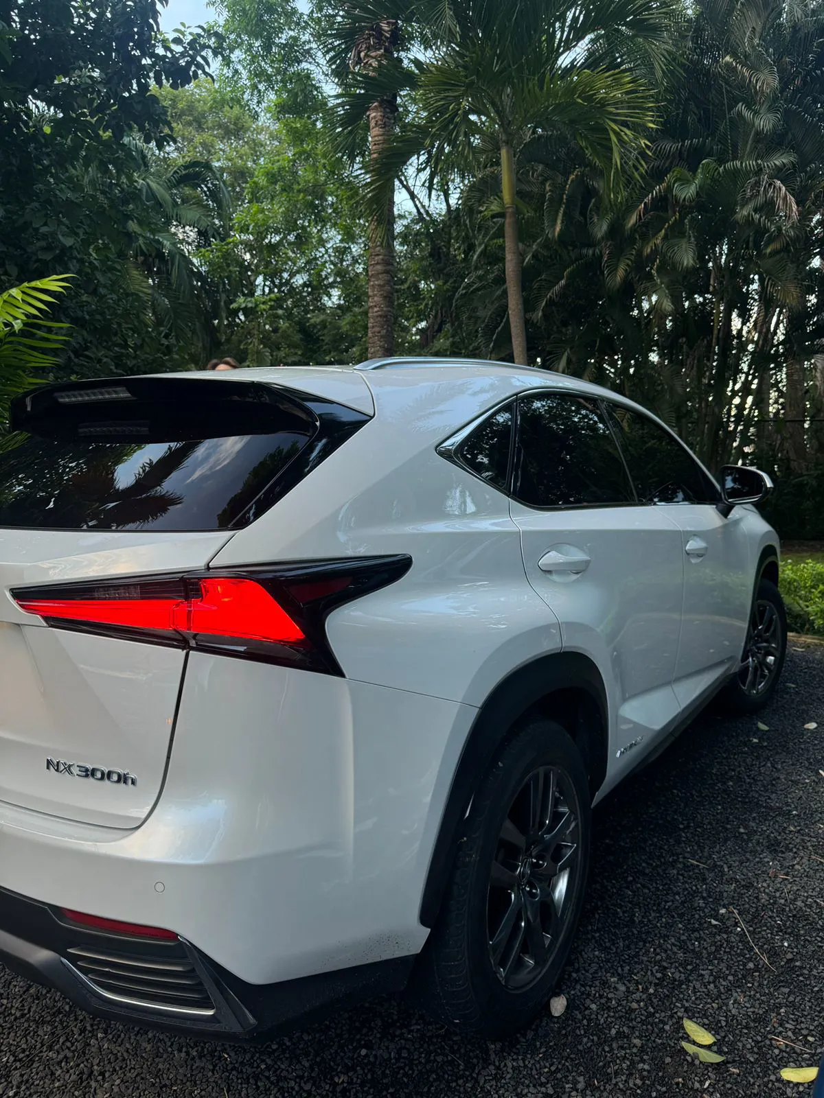 Preview imagenes del auto