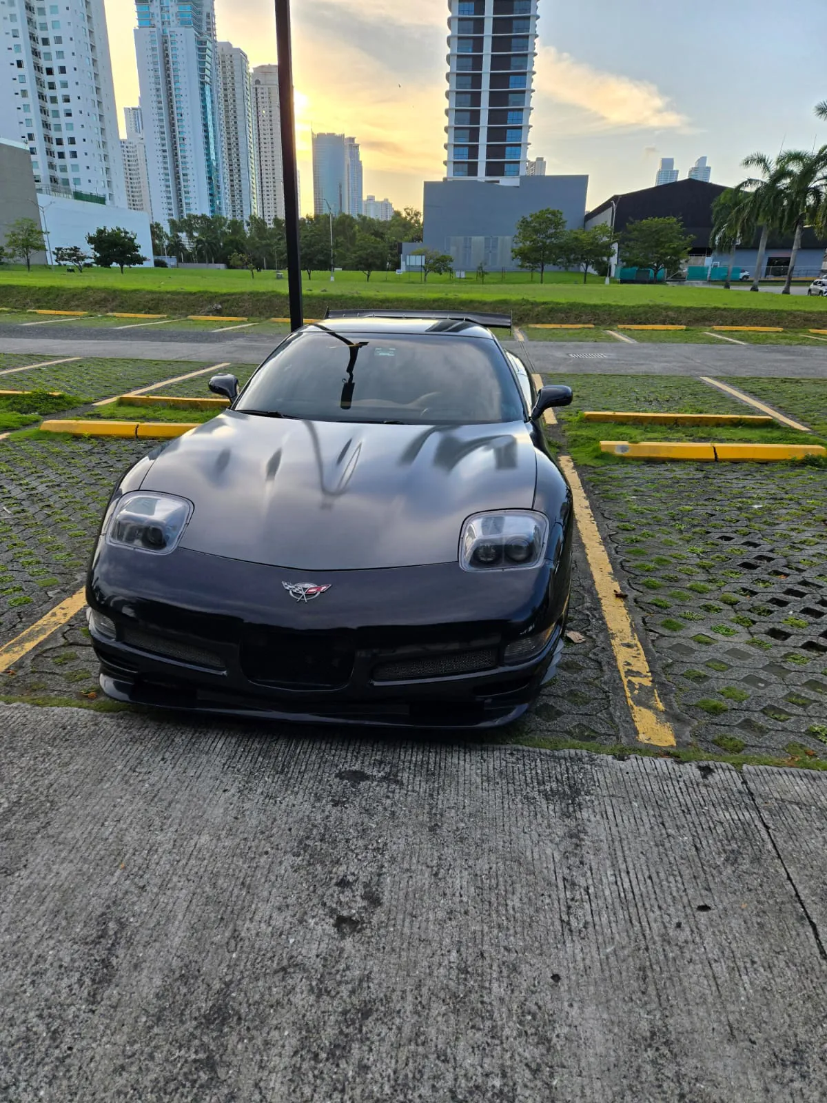 Preview imagenes del auto