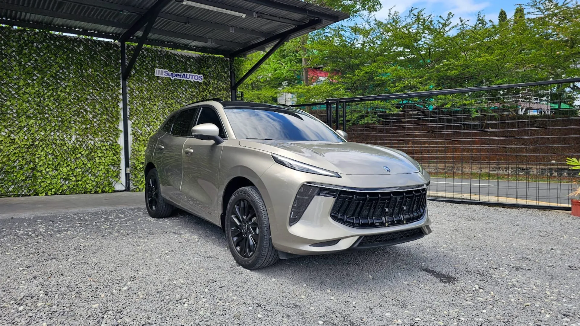 Preview imagenes del auto