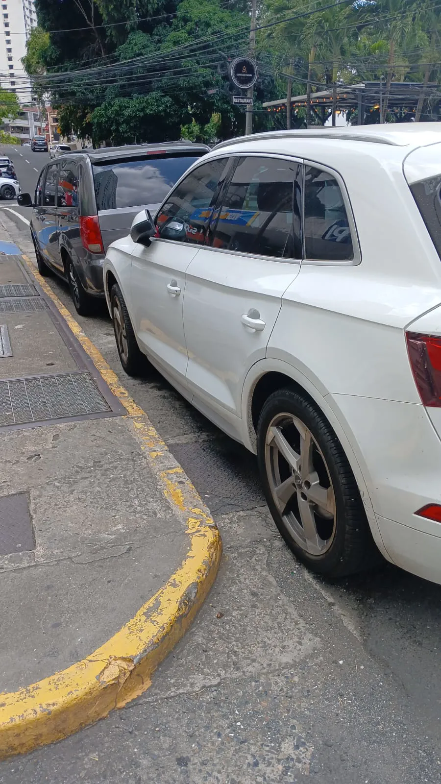 Imagenes del auto