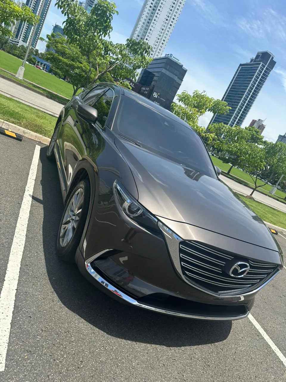 Imagenes del auto