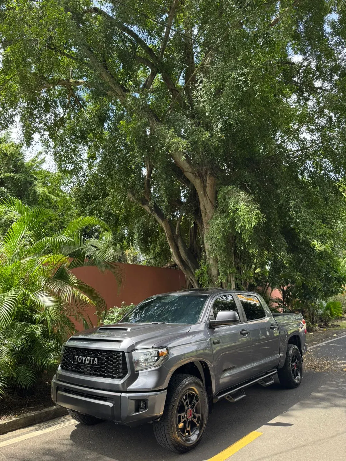 Imagenes del auto