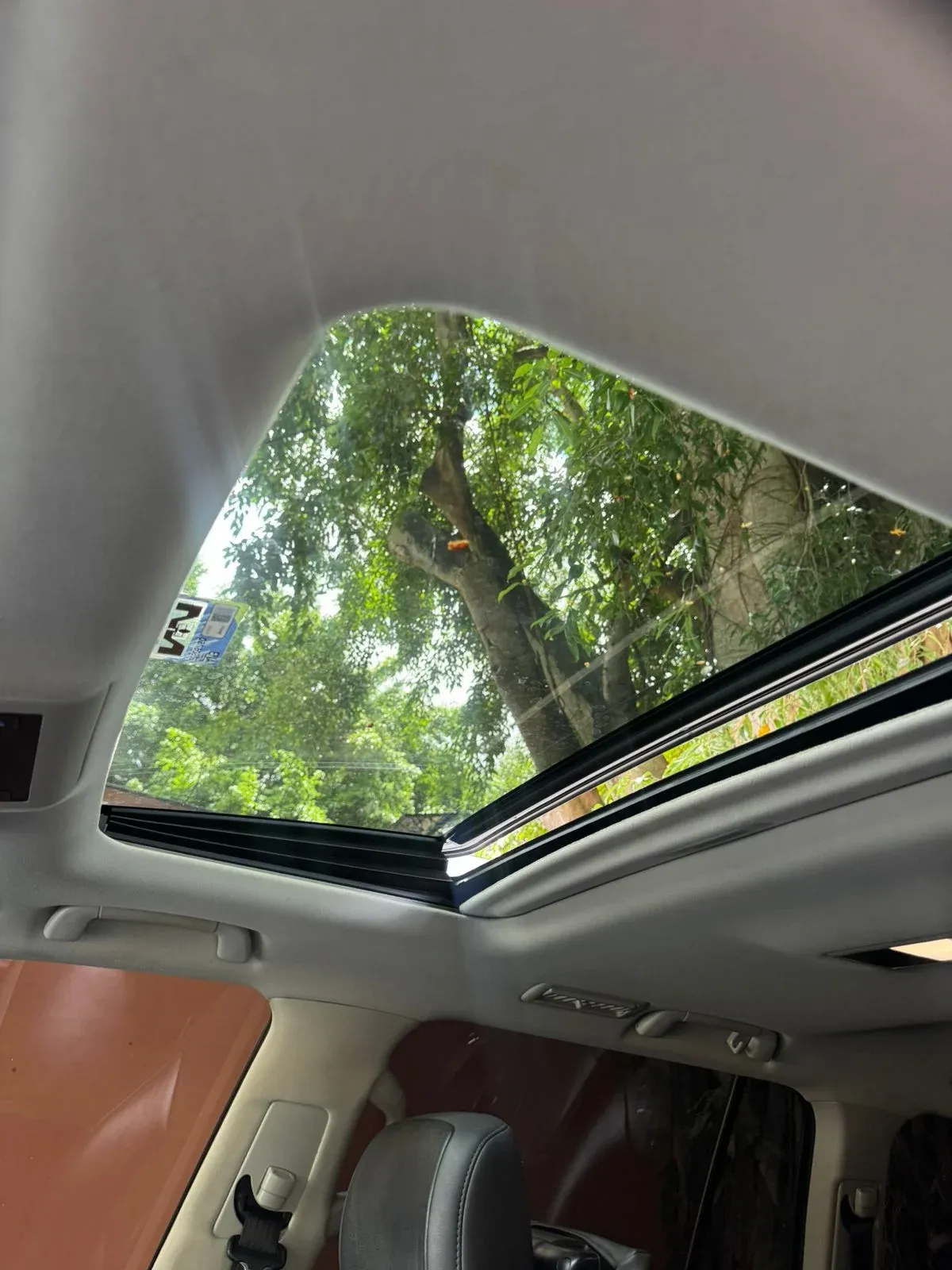 Imagenes del auto