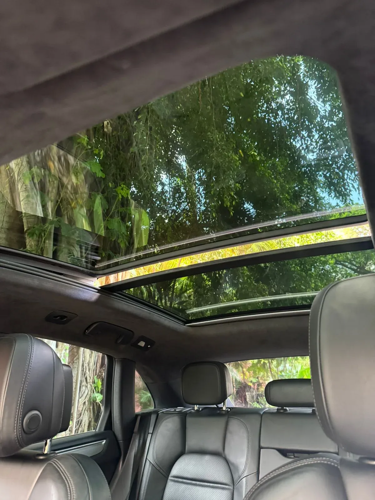 Imagenes del auto