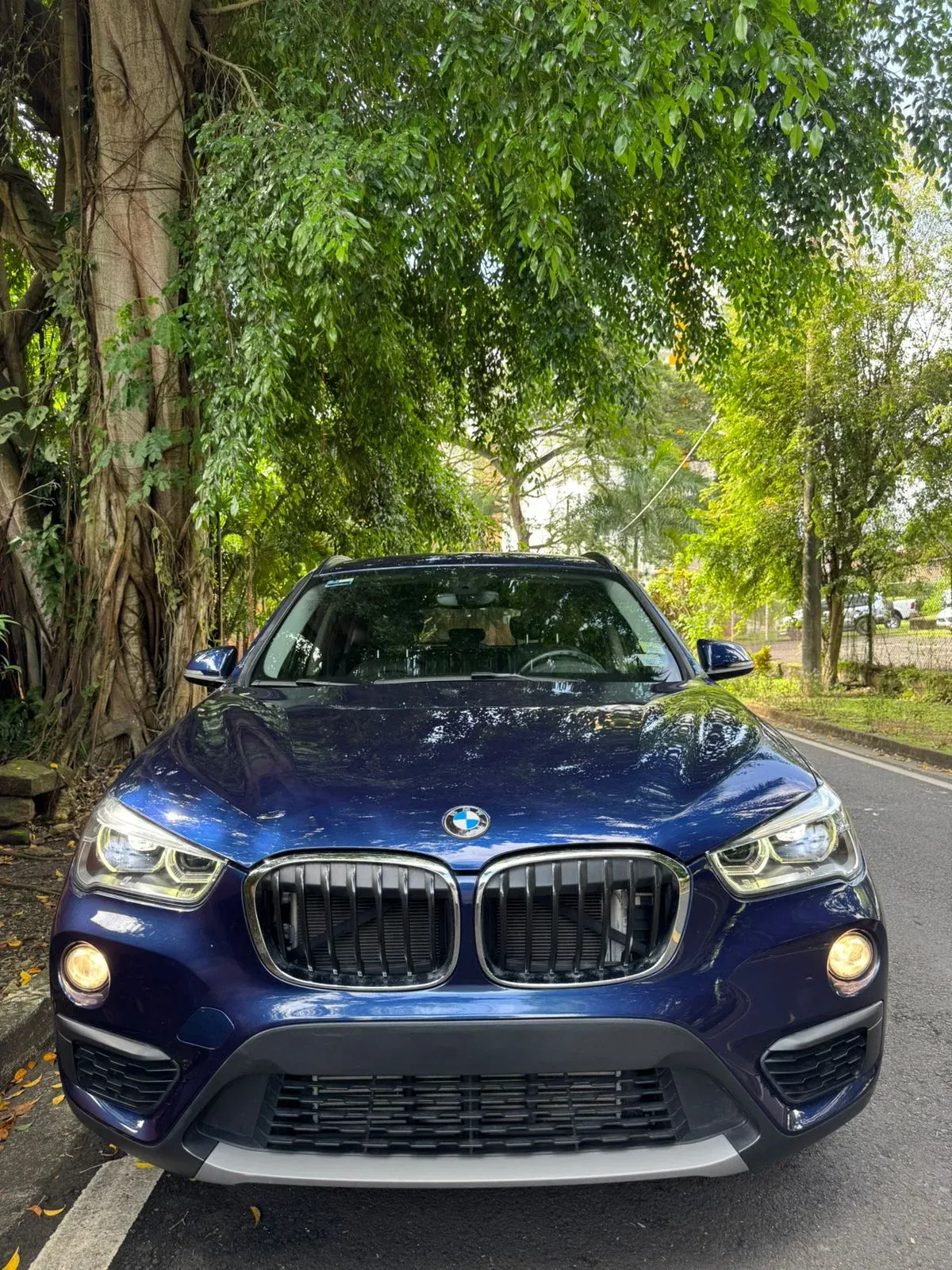 Imagenes del auto