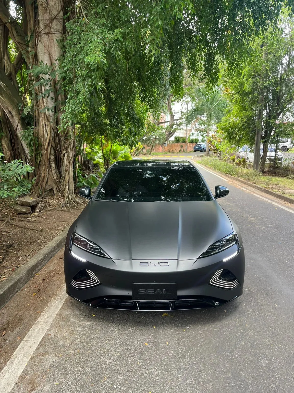 Imagenes del auto