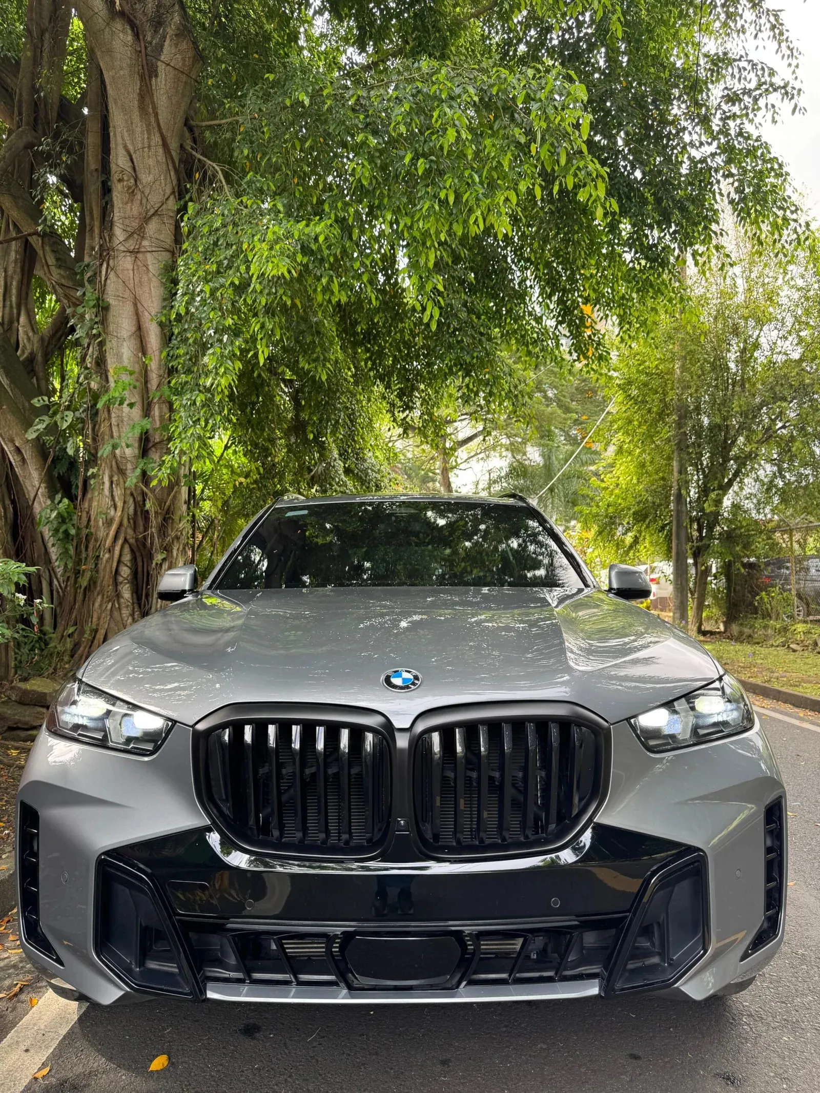 Imagenes del auto