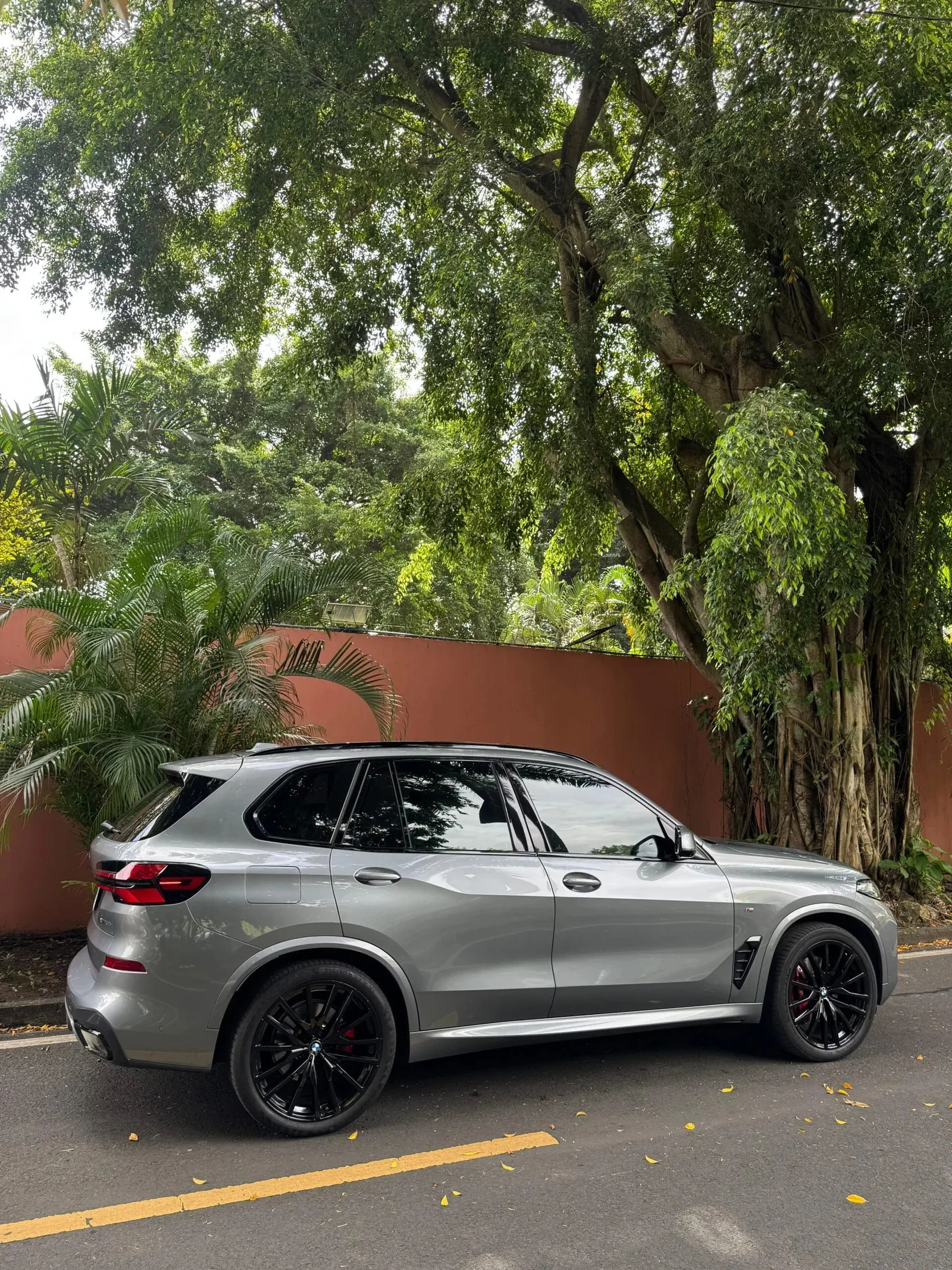 Imagenes del auto