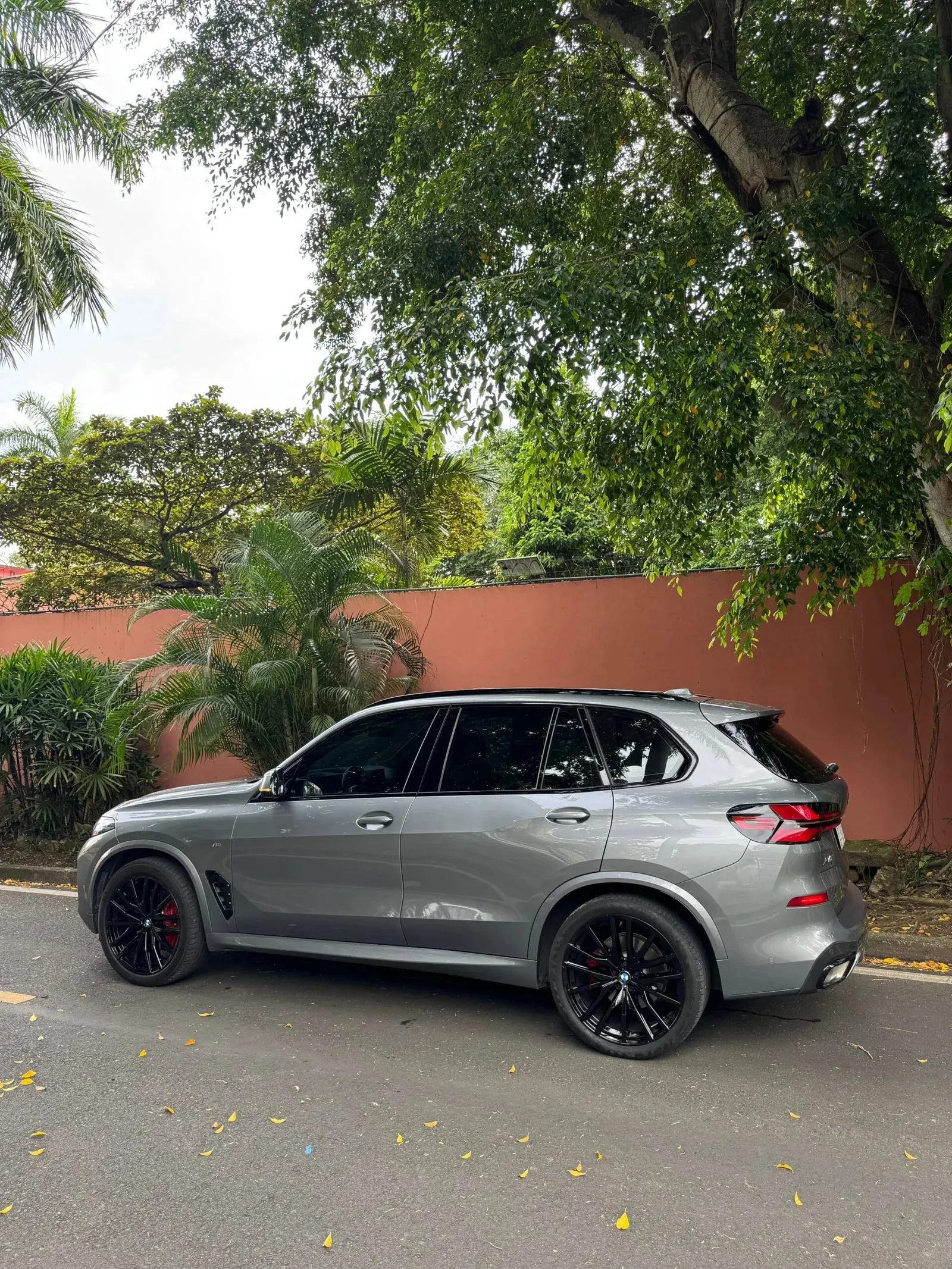 Imagenes del auto