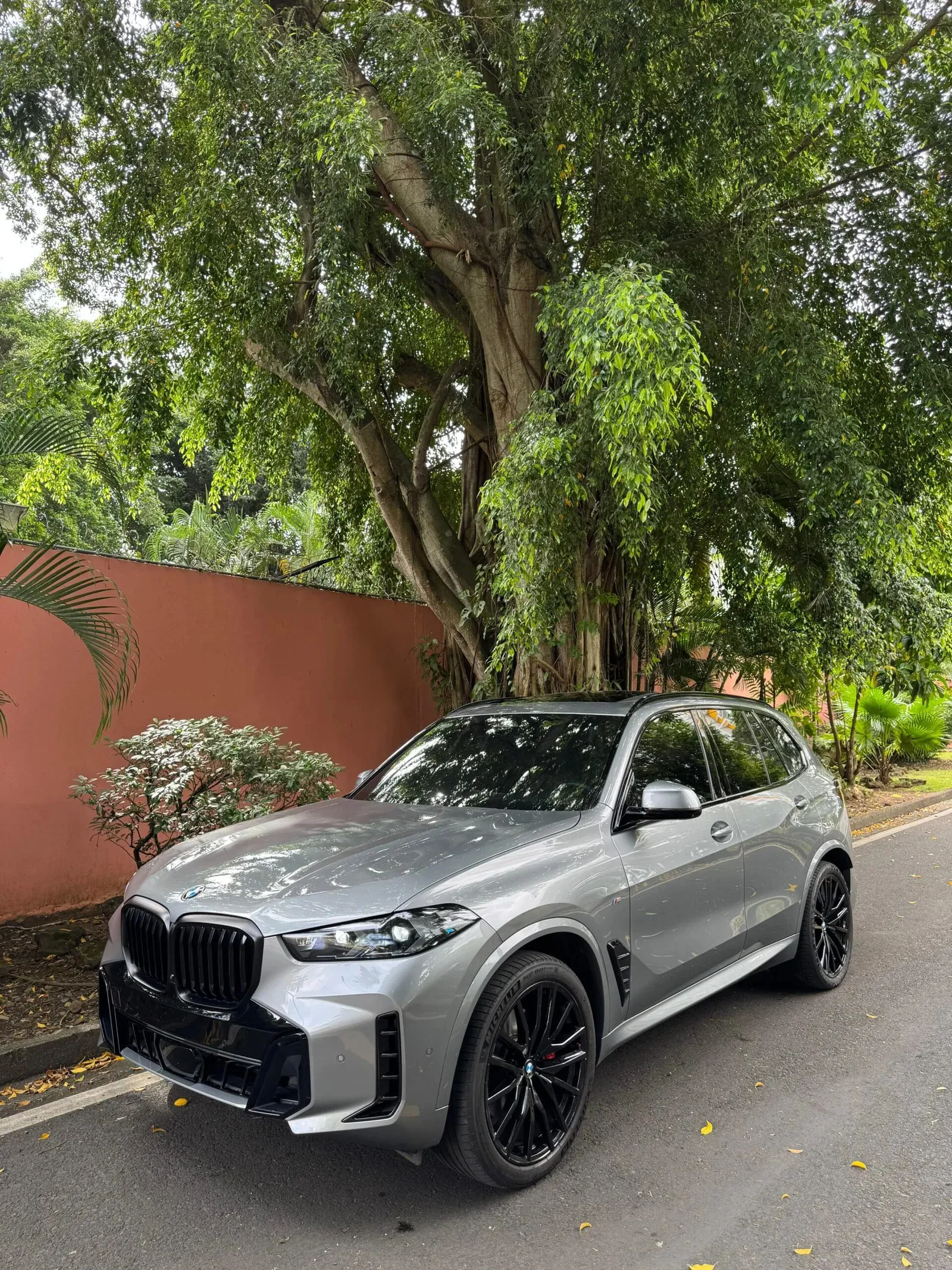 Preview imagenes del auto