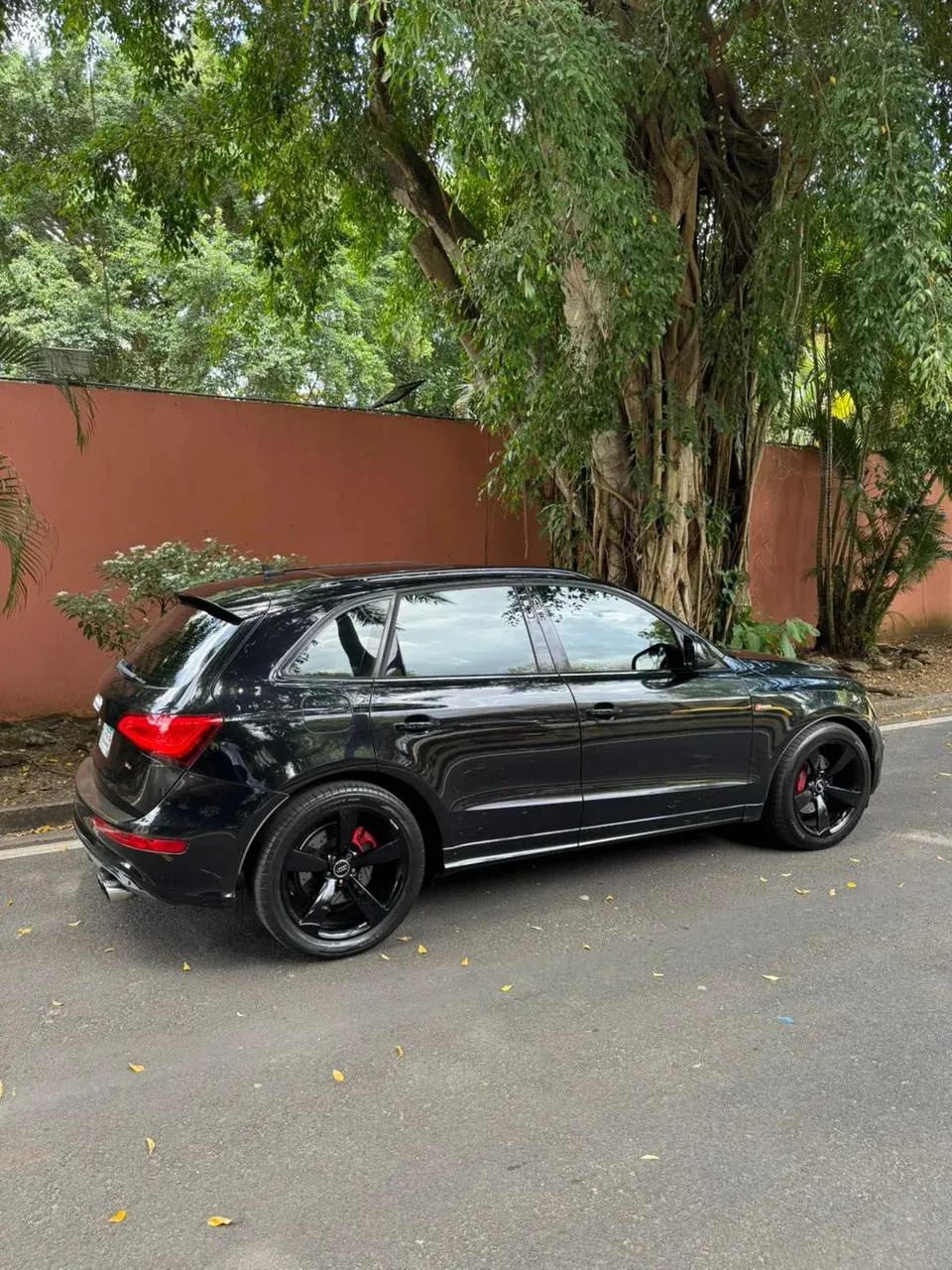 Imagenes del auto