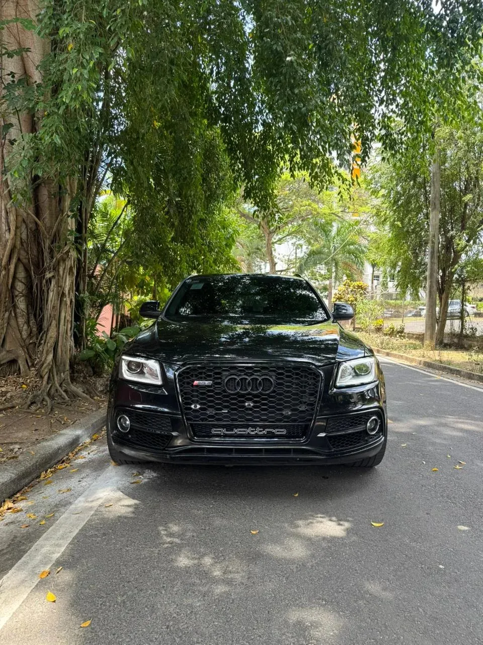 Preview imagenes del auto