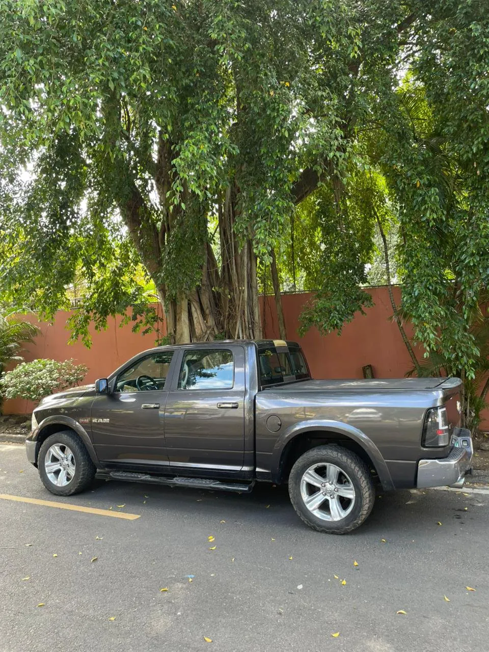 Imagenes del auto