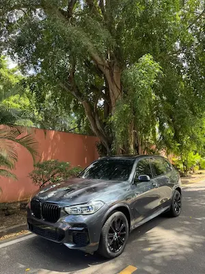 B.M.W. X5 Xdrive40i
