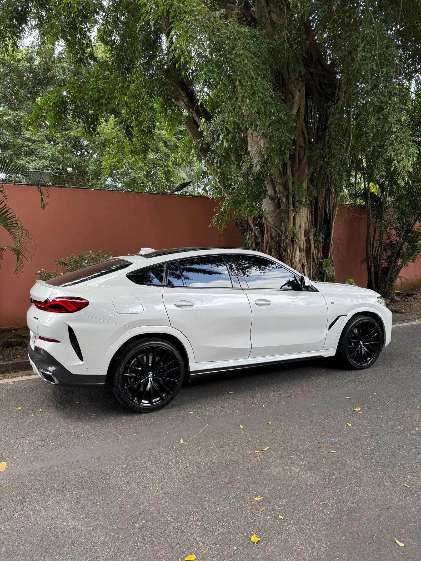 Imagenes del auto