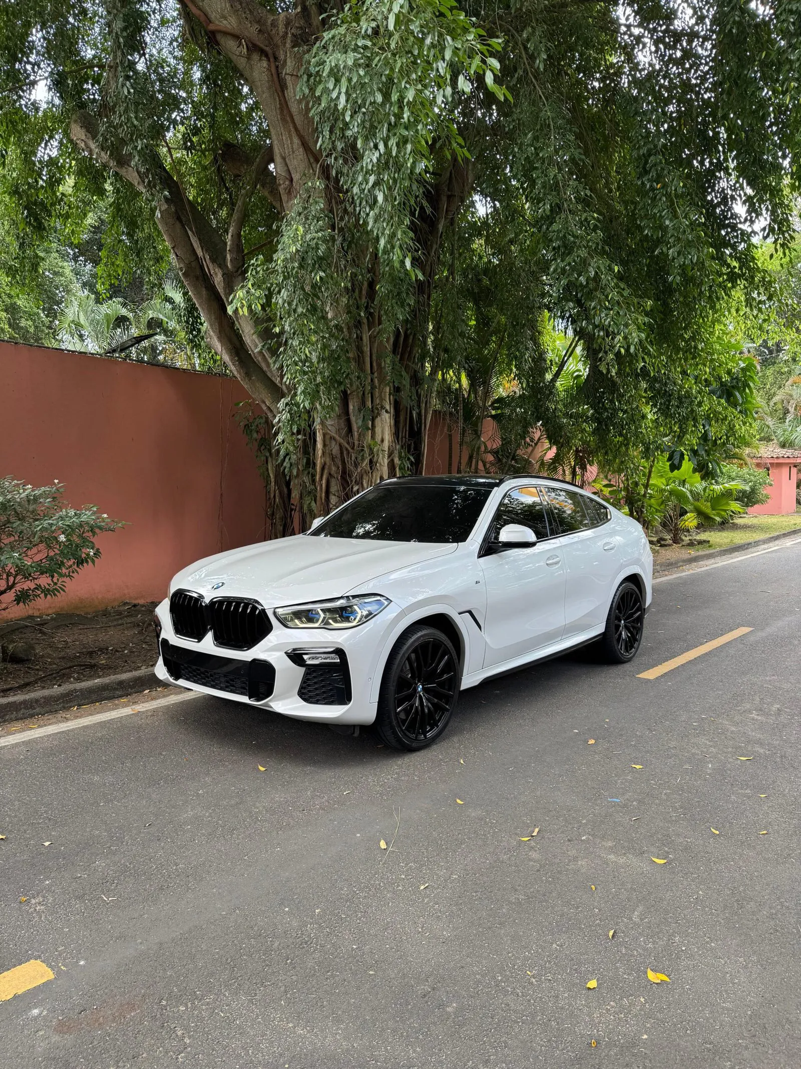 Preview imagenes del auto