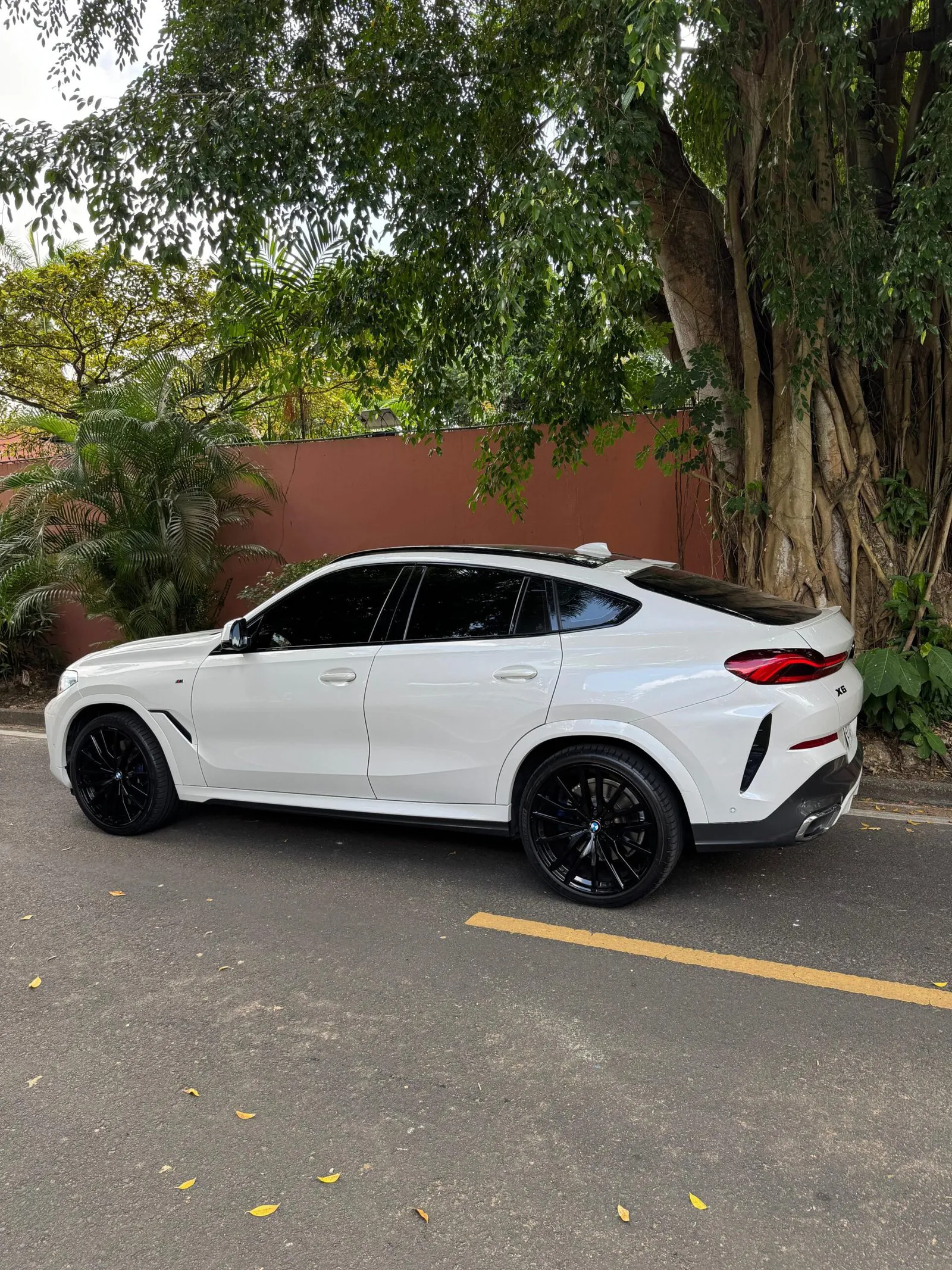 Preview imagenes del auto