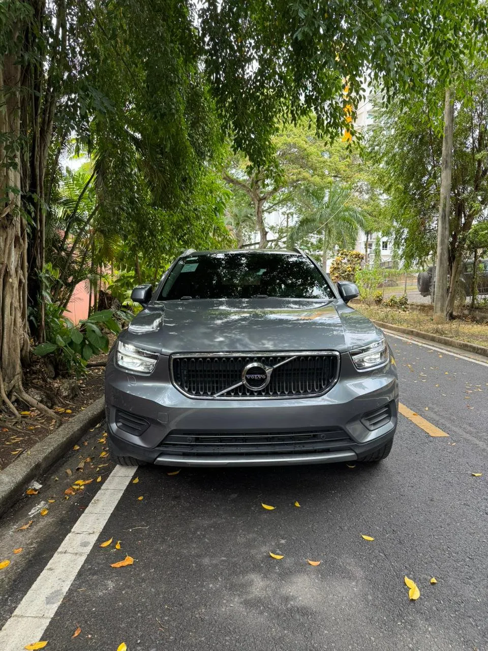 Imagenes del auto