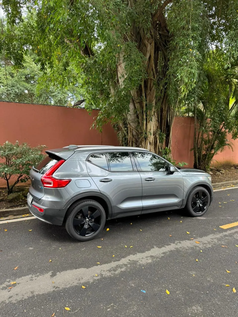 Imagenes del auto