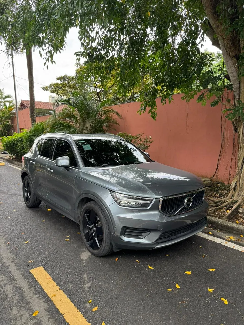 Imagenes del auto