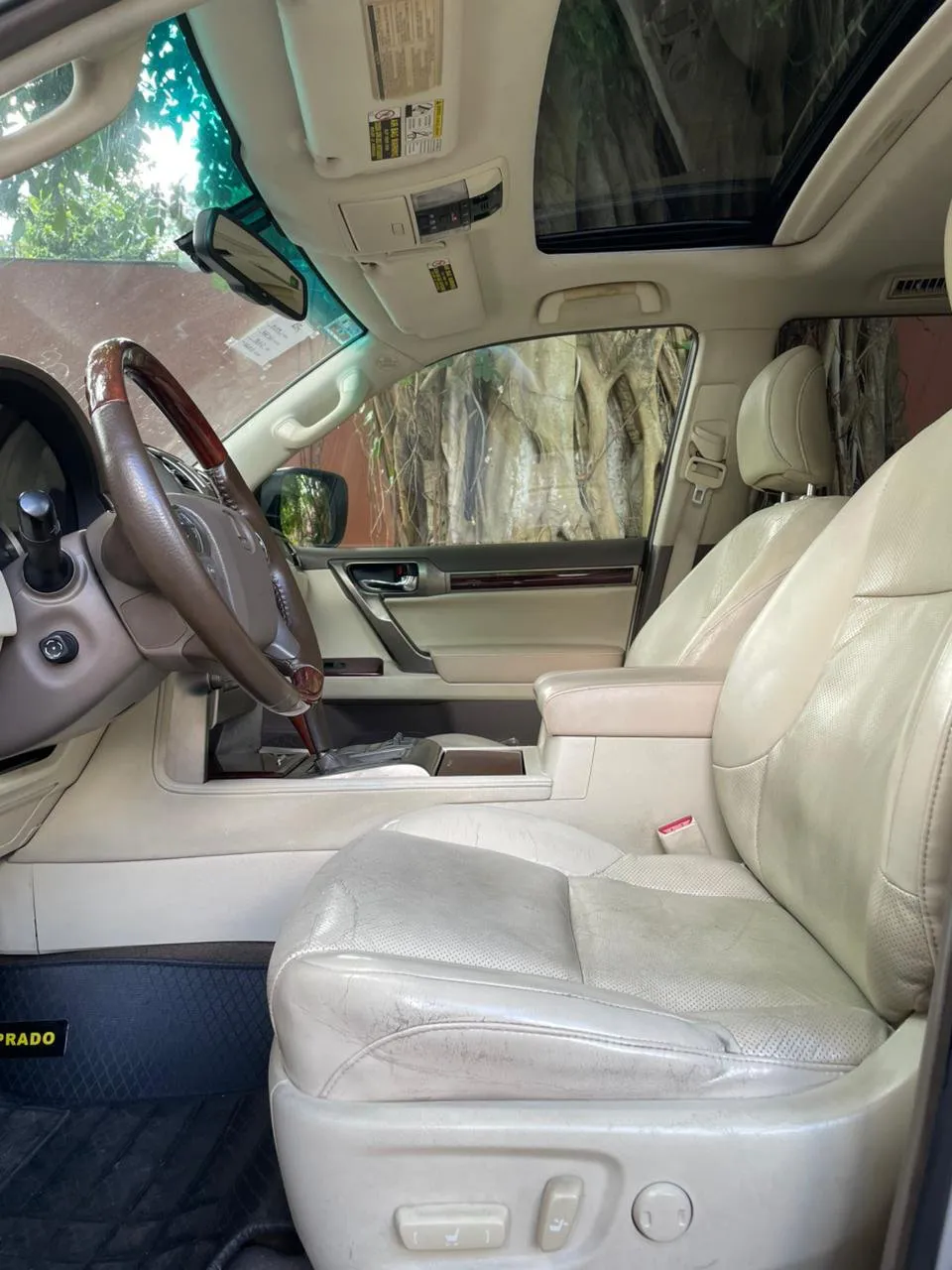 Imagenes del auto