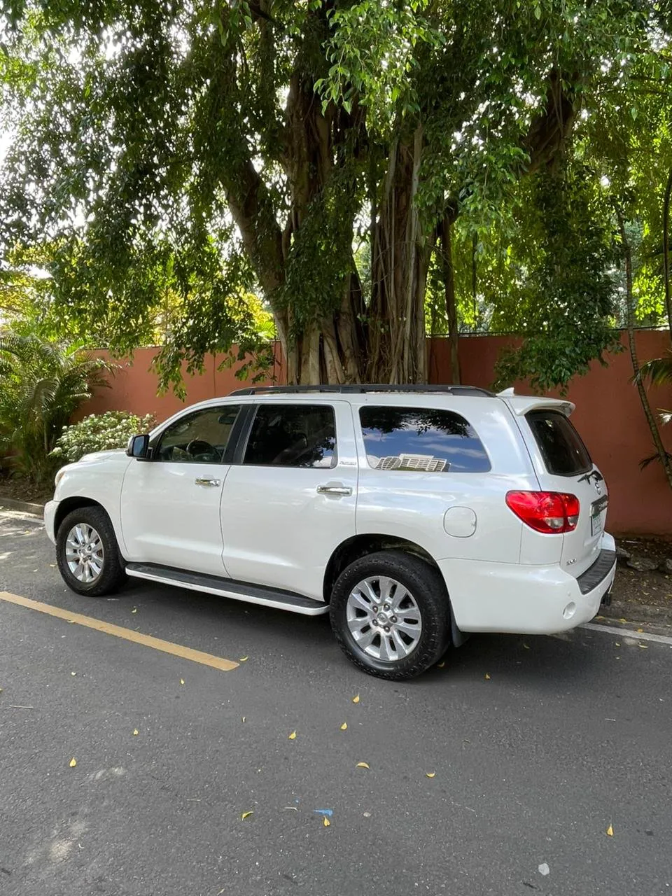 Imagenes del auto