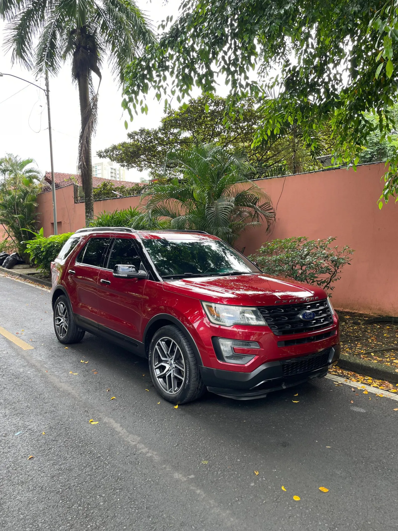 Imagenes del auto