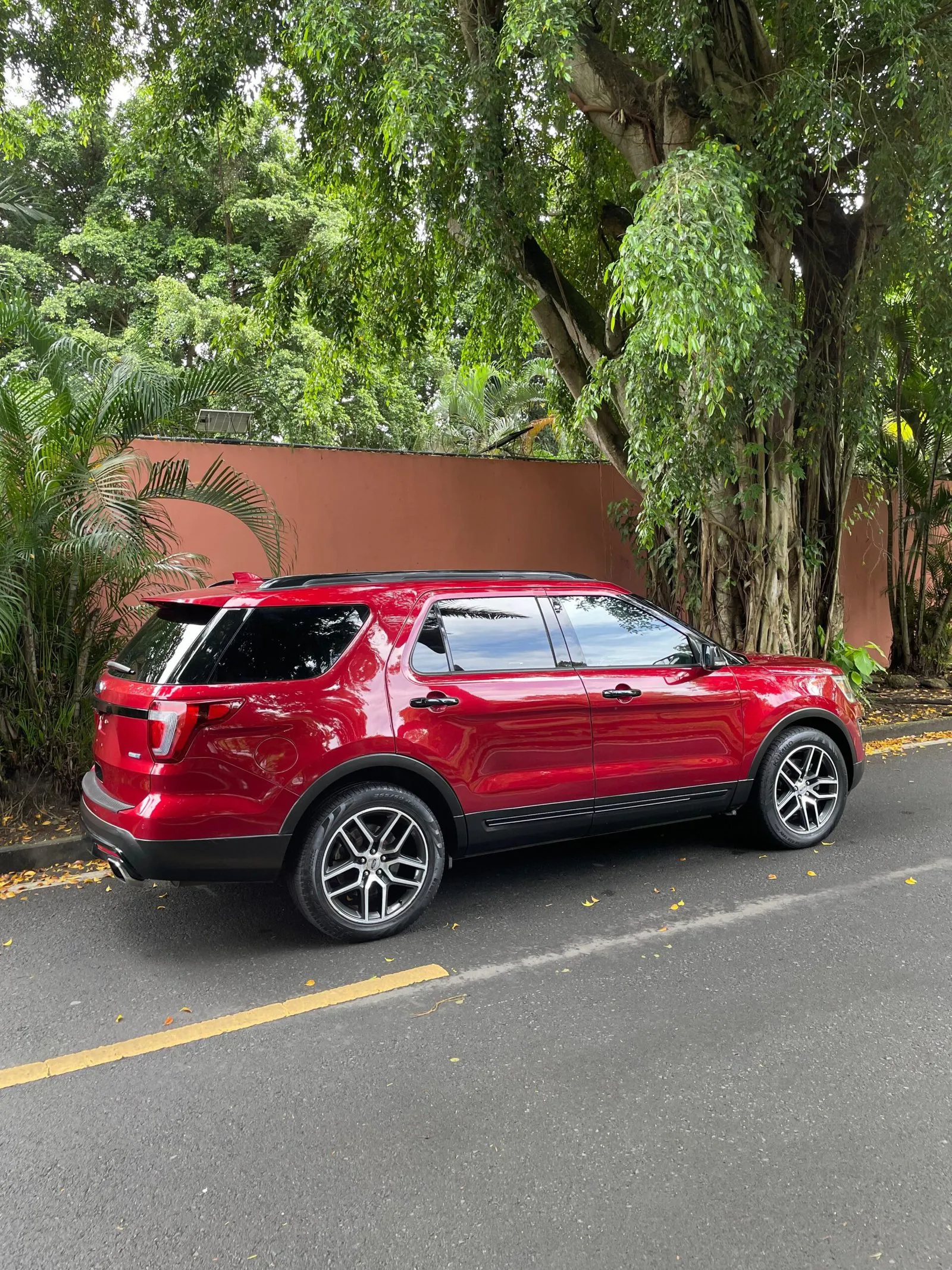 Imagenes del auto