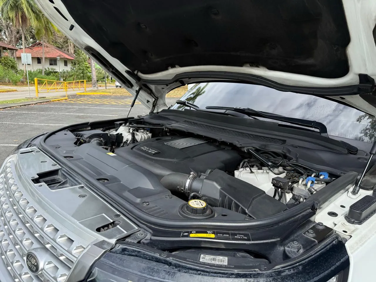 Imagenes del auto