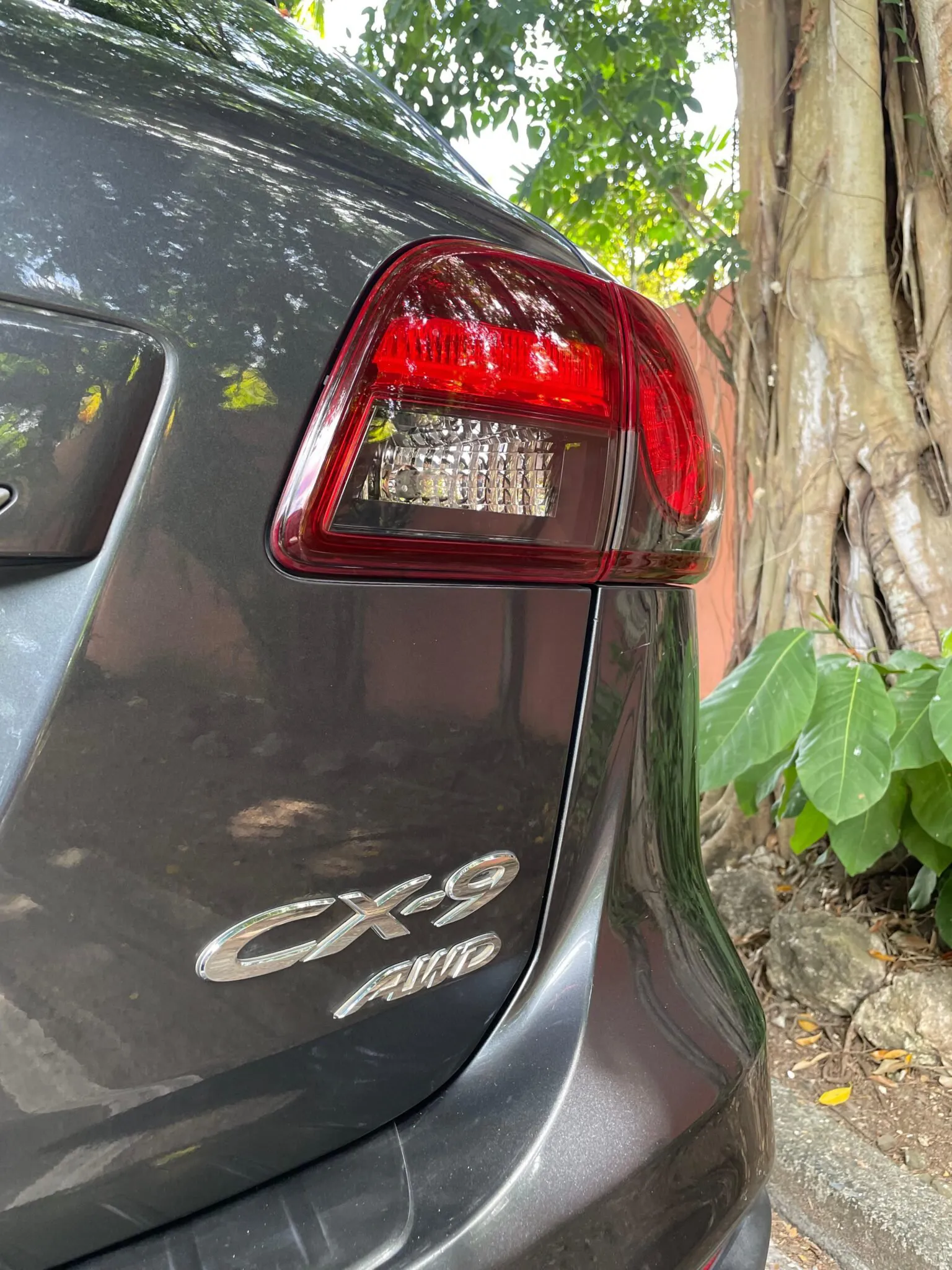 Imagenes del auto