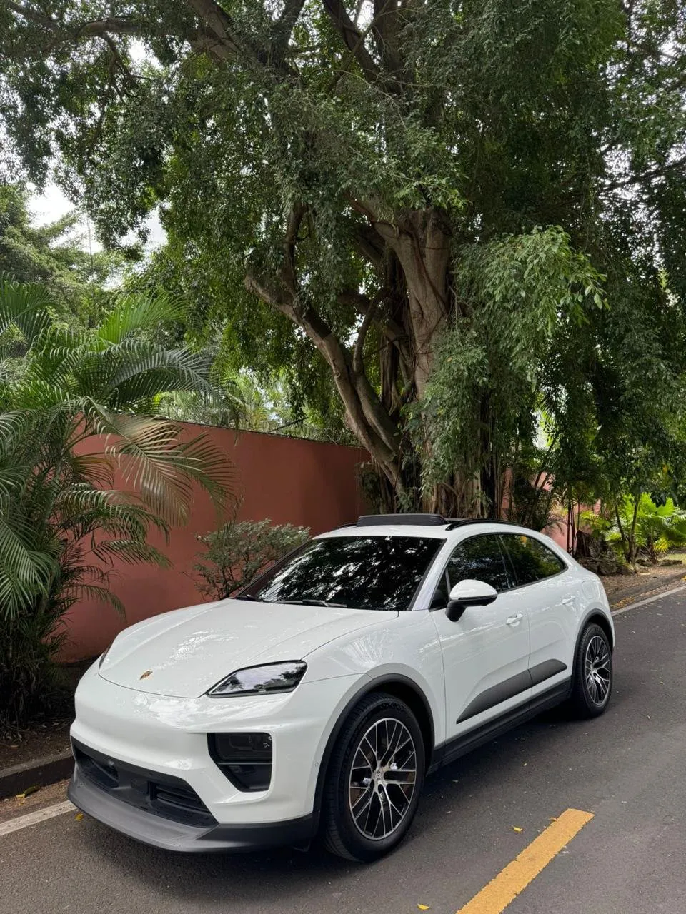 Imagenes del auto