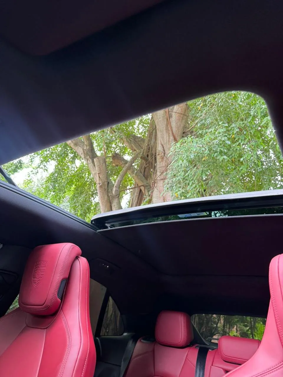 Preview imagenes del auto