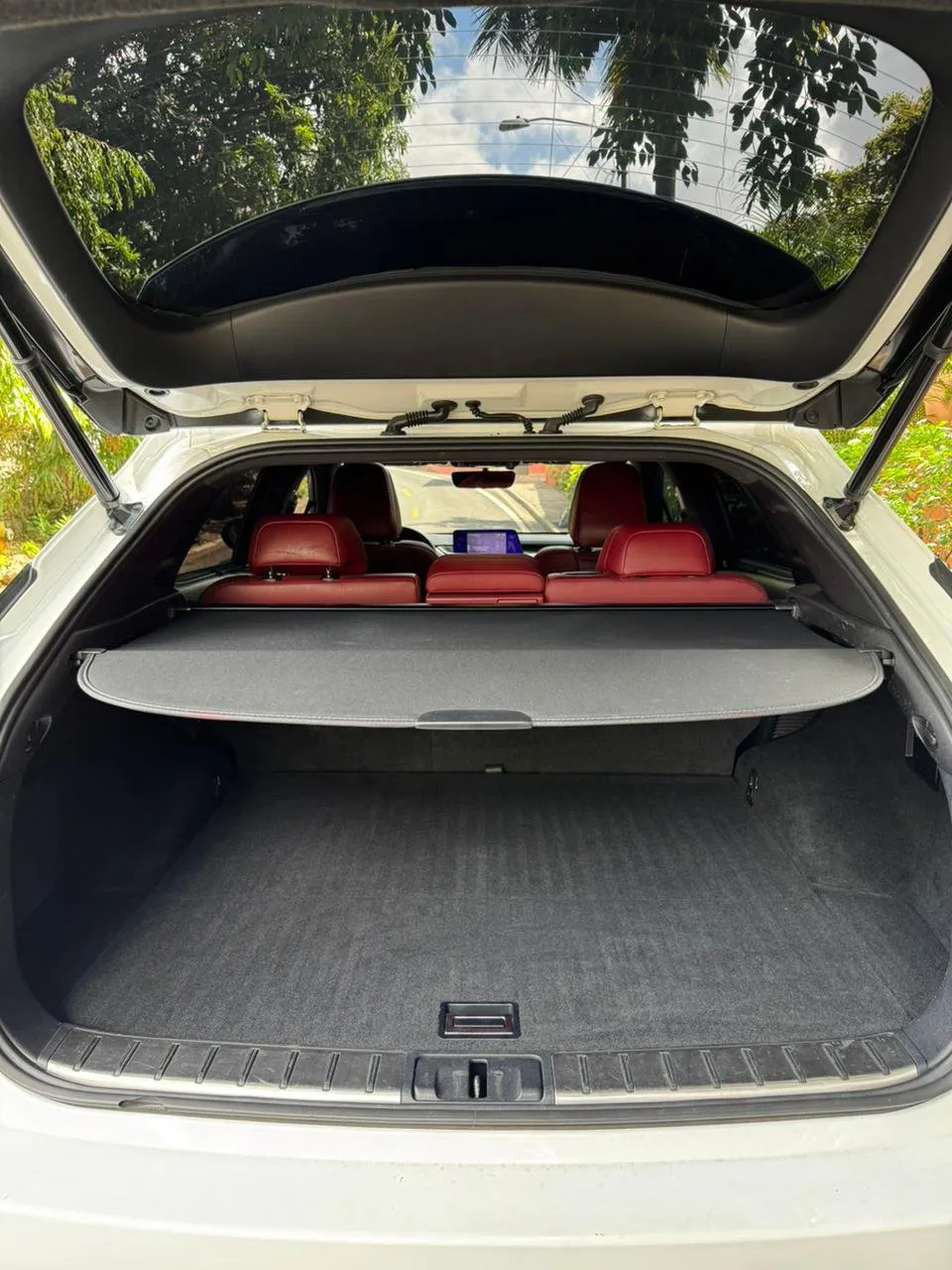 Imagenes del auto