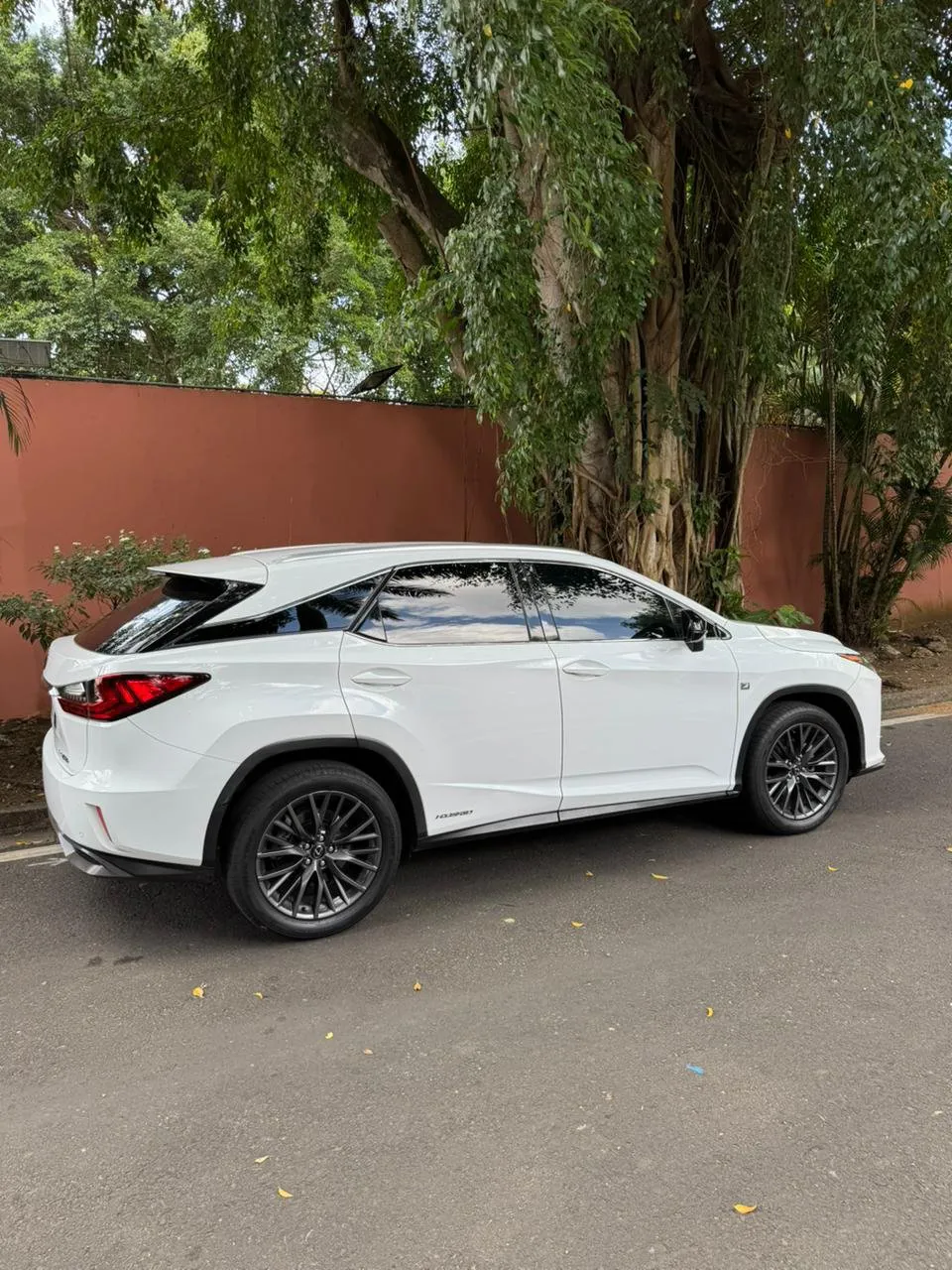 Preview imagenes del auto