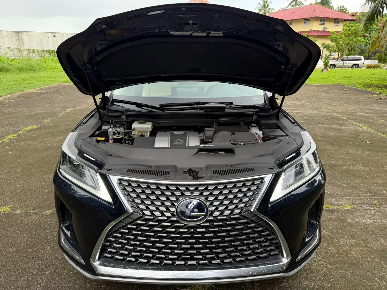 Imagenes del auto