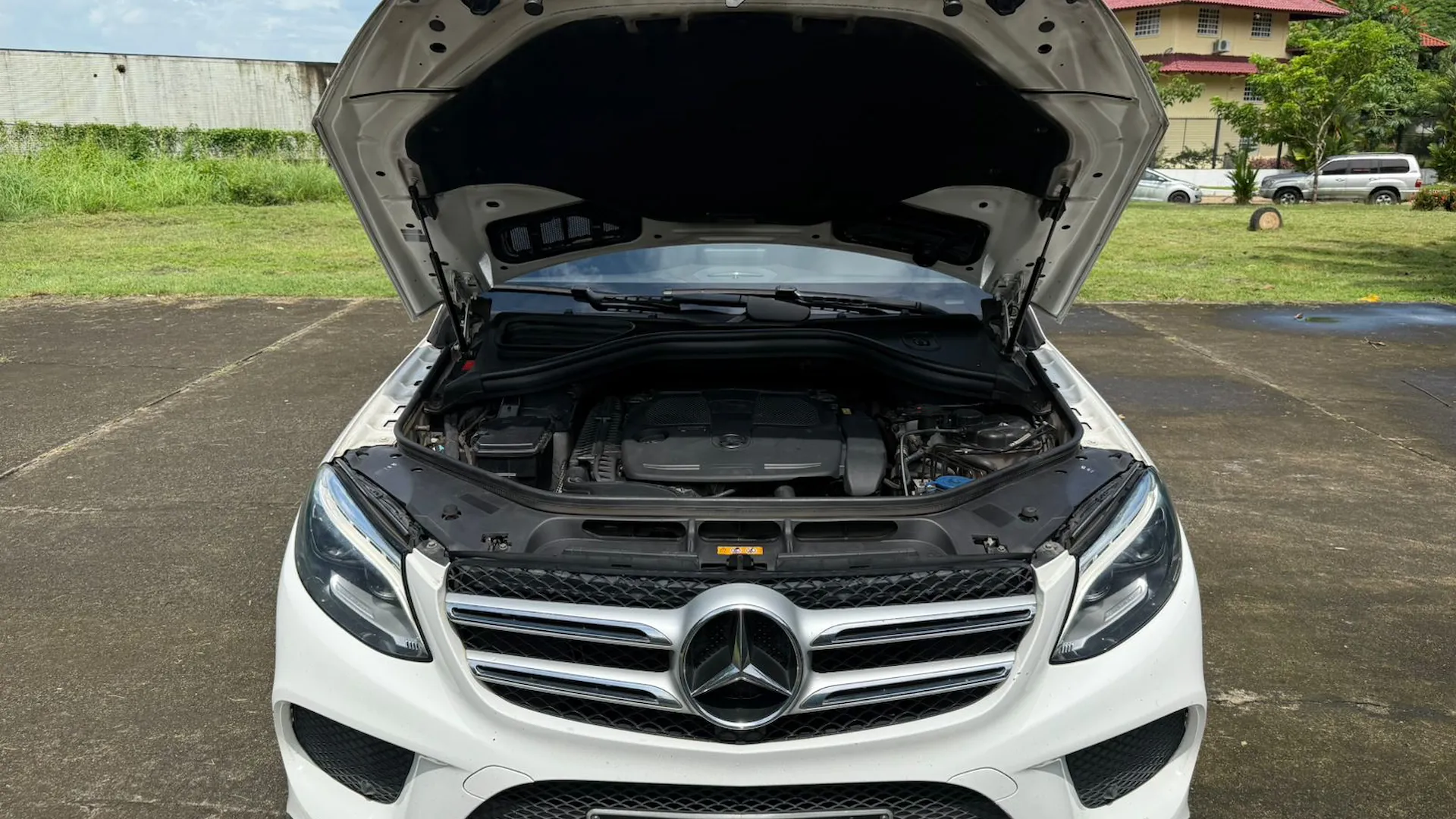 Imagenes del auto