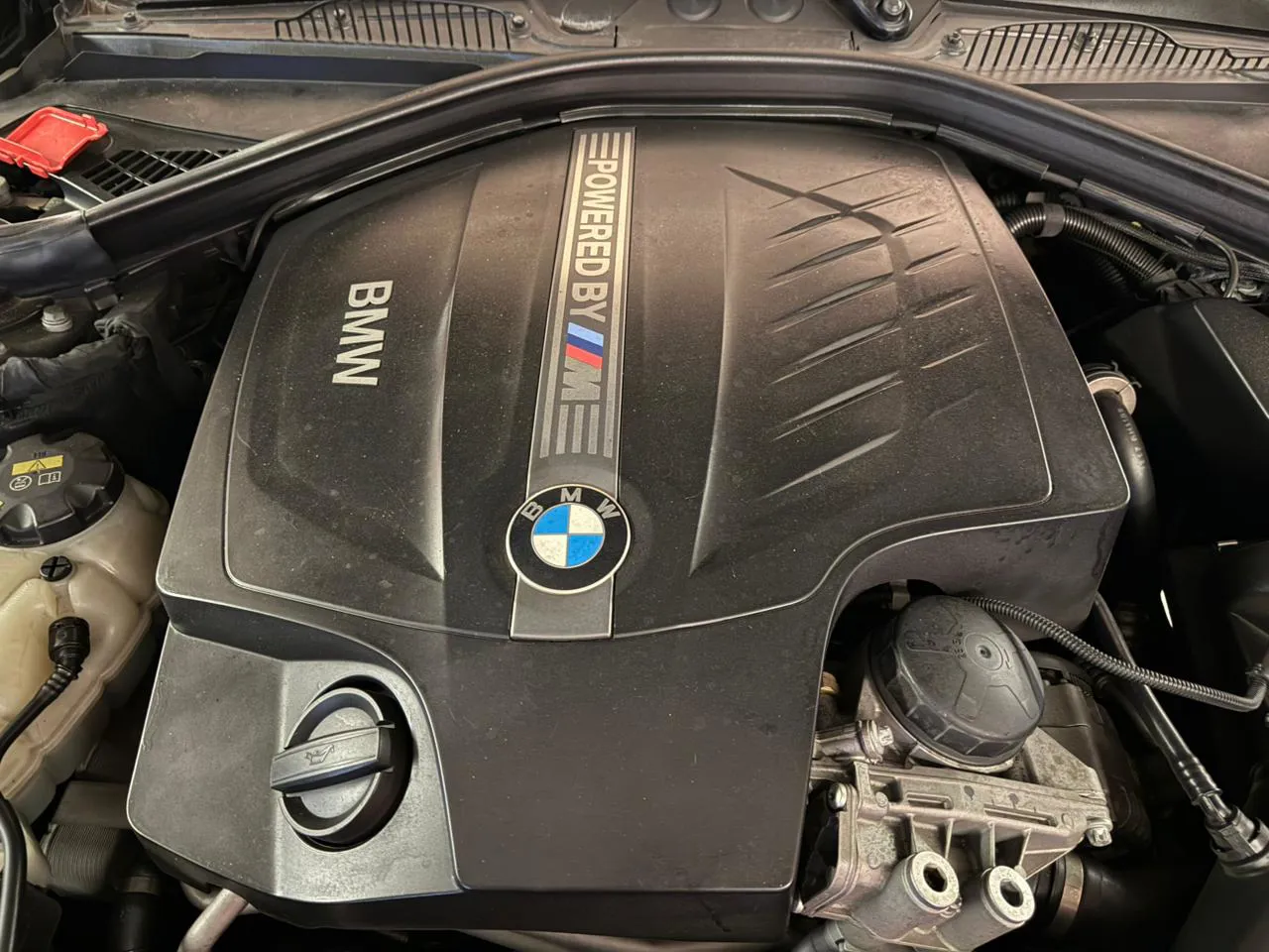 Imagenes del auto