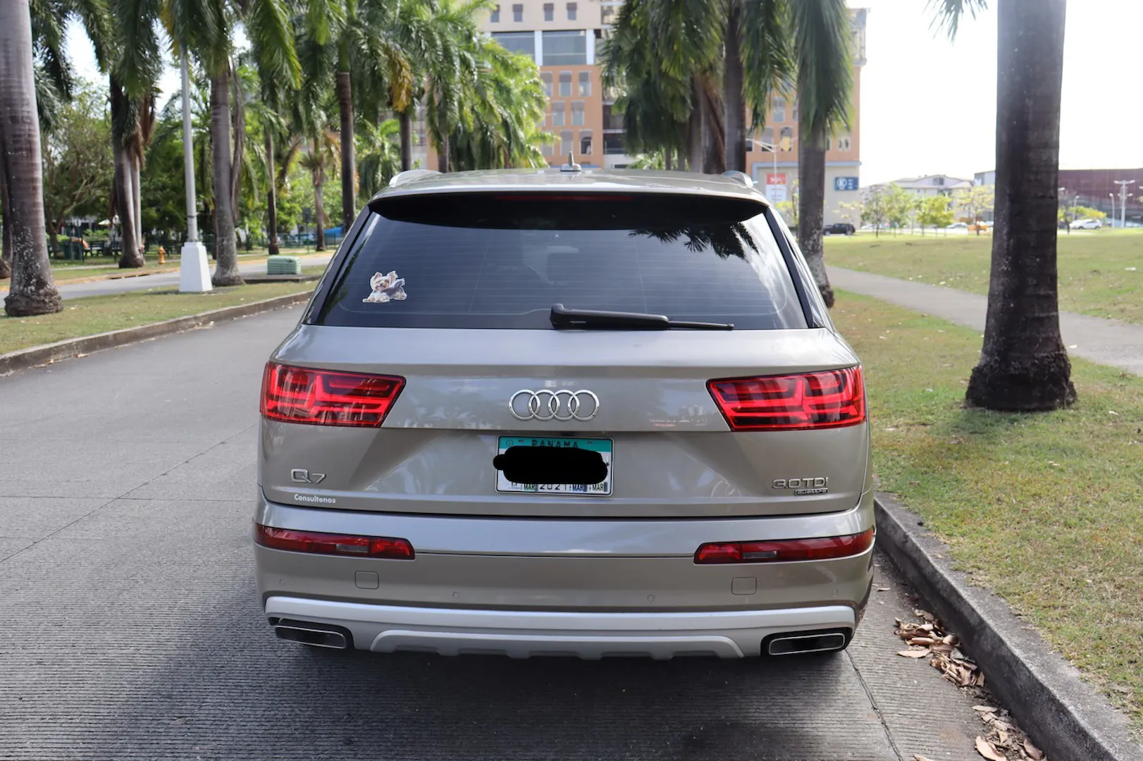 Preview imagenes del auto