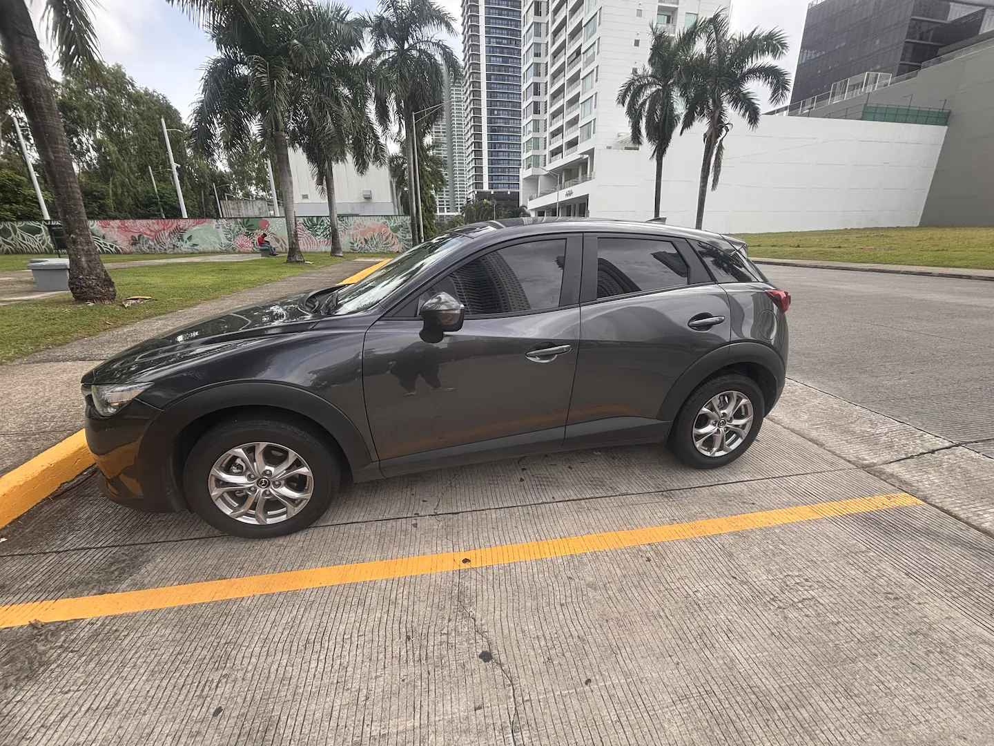 Imagenes del auto