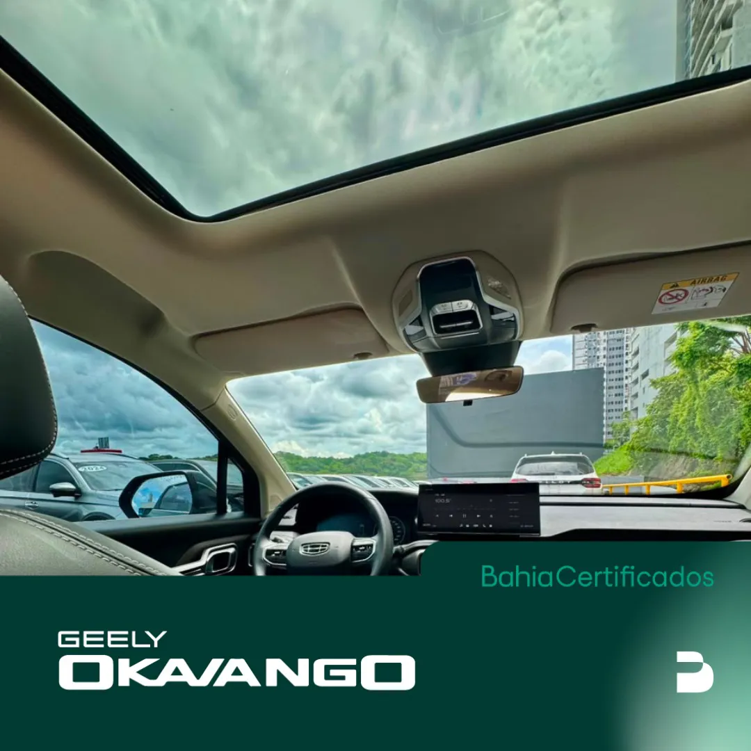 Preview imagenes del auto