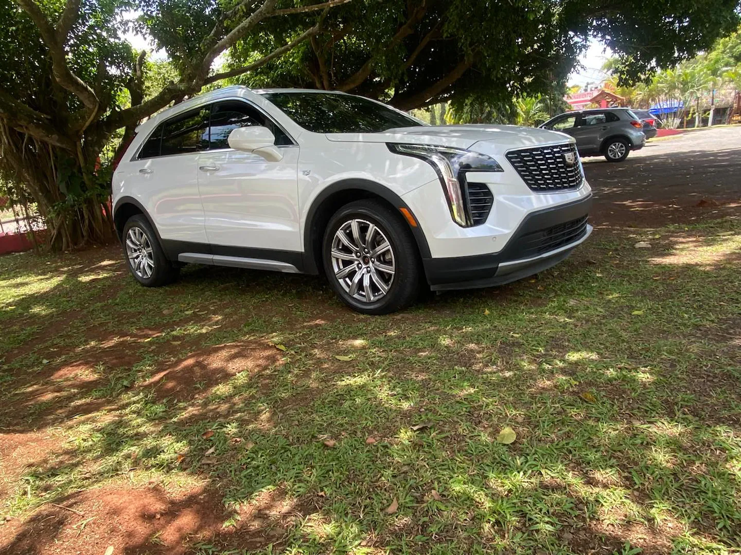 Preview imagenes del auto