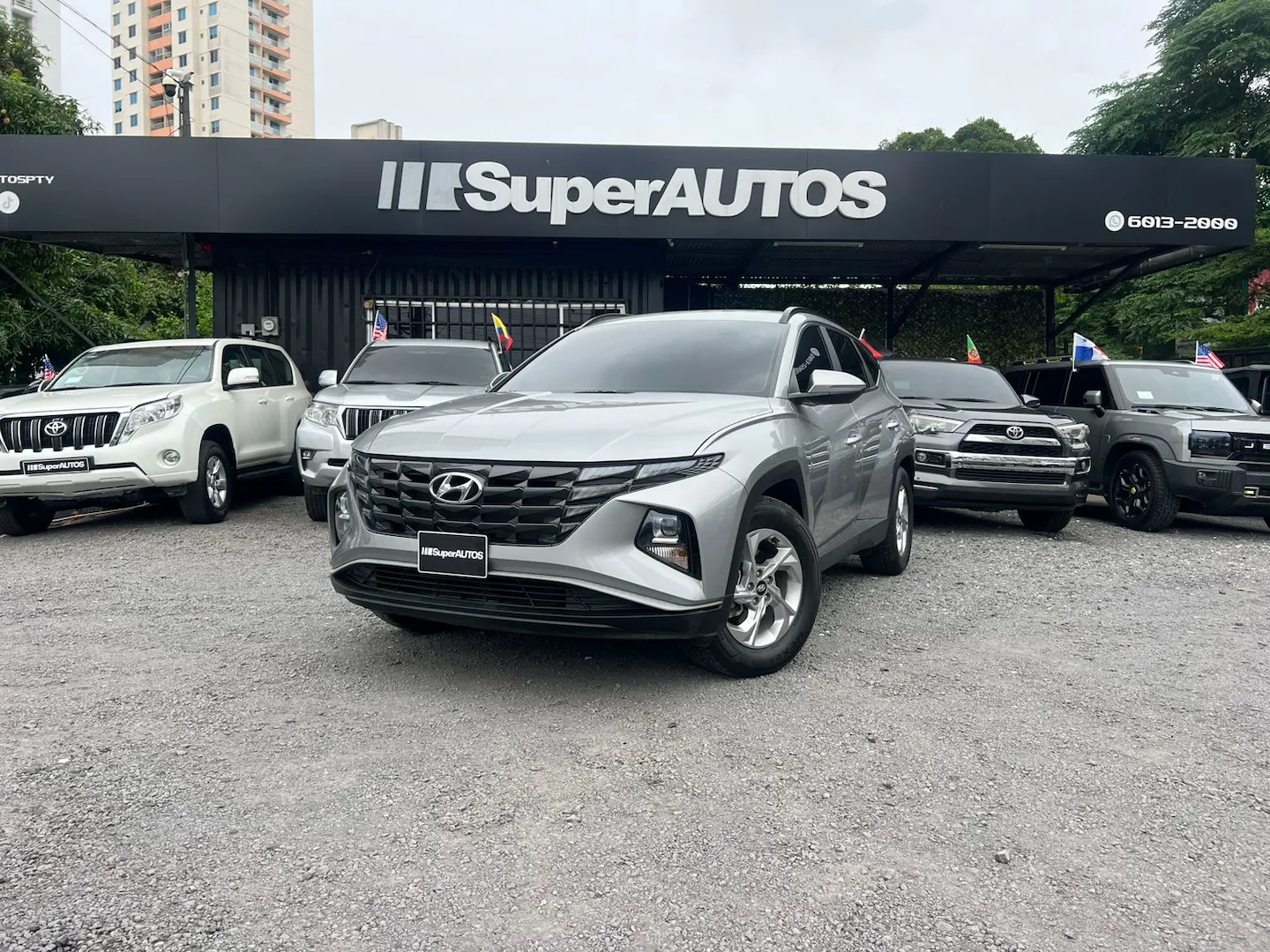 Preview imagenes del auto