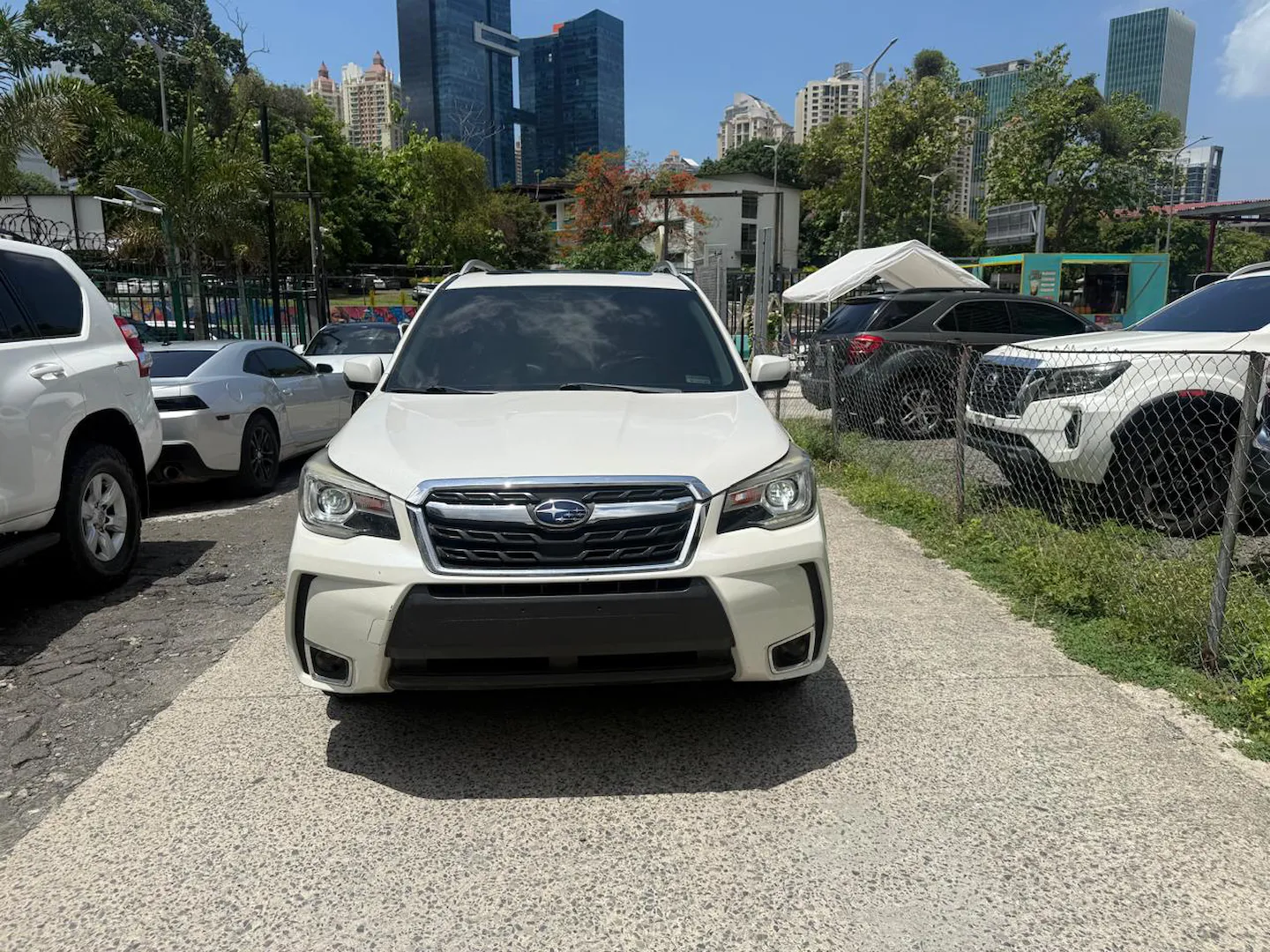 Imagenes del auto
