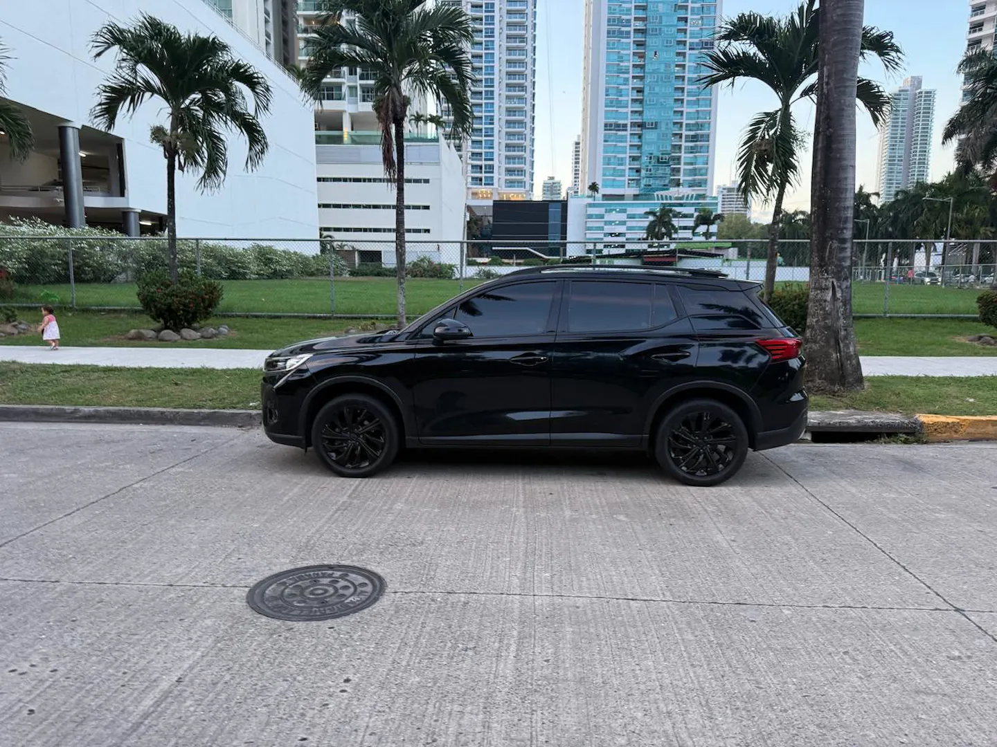 Preview imagenes del auto