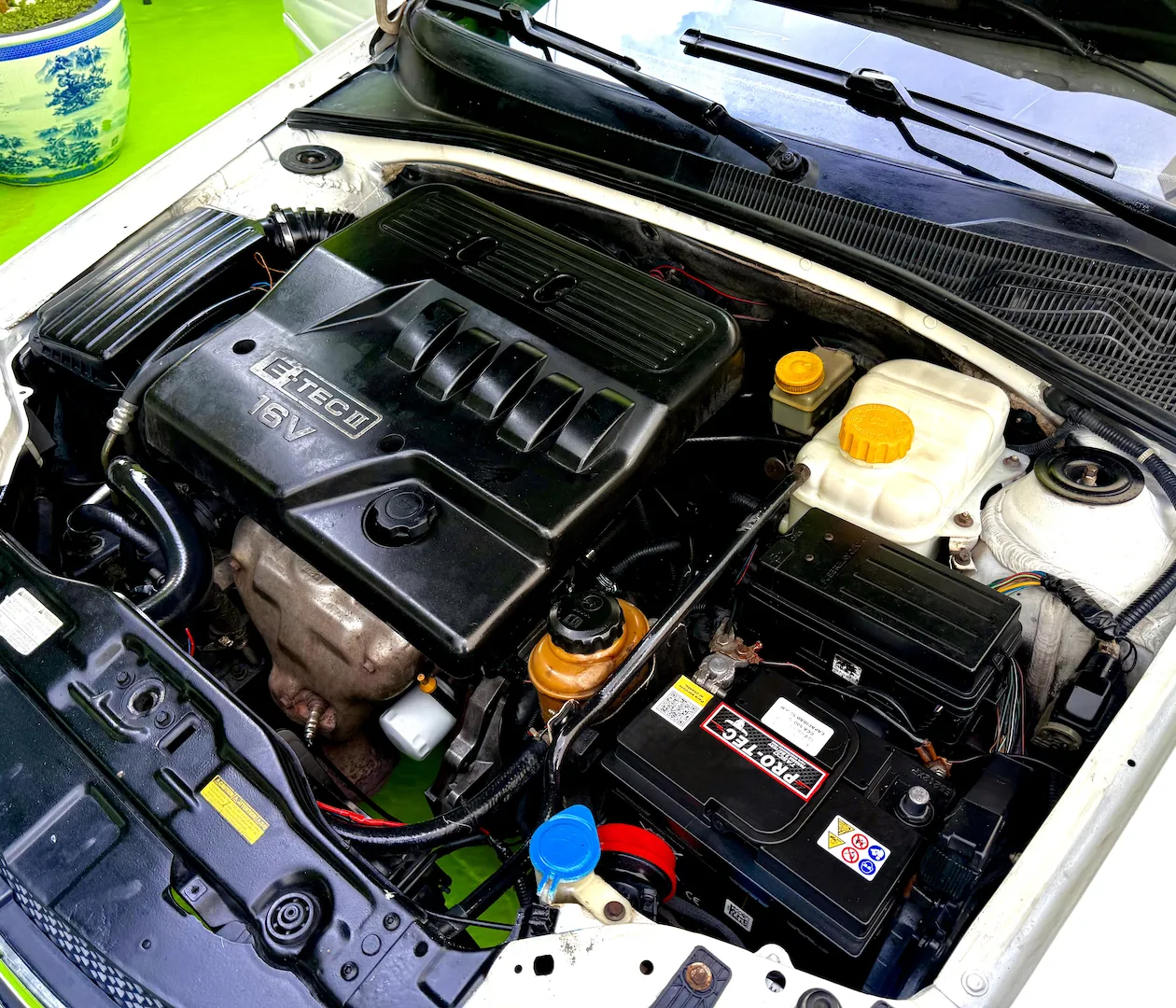 Imagenes del auto