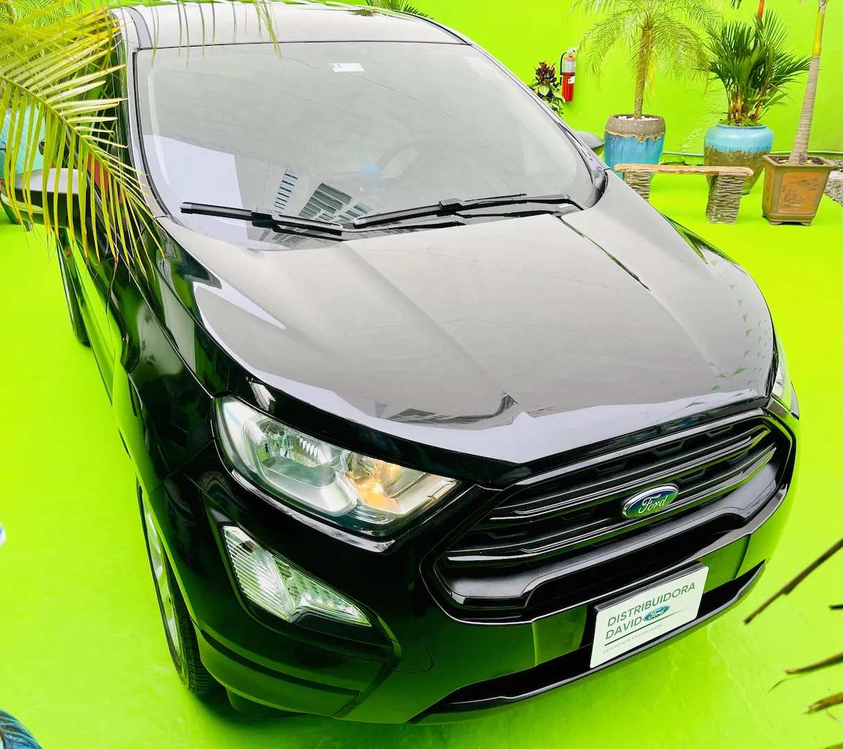 Imagenes del auto