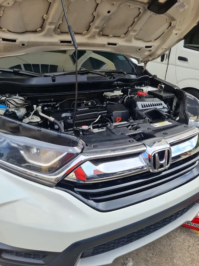 Imagenes del auto